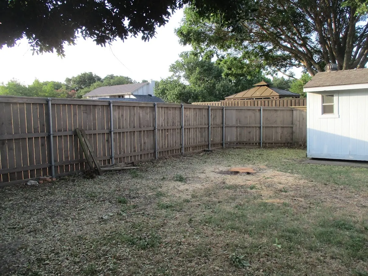 Cleared yard after professional tree removal in Naval Anacost Annex