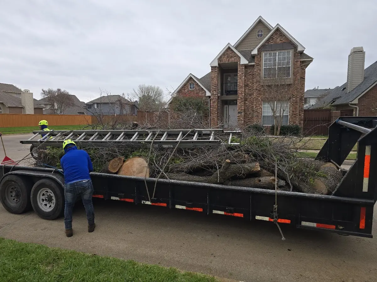 Expert Lot Clearing with proper safety equipment in Naval Anacost Annex